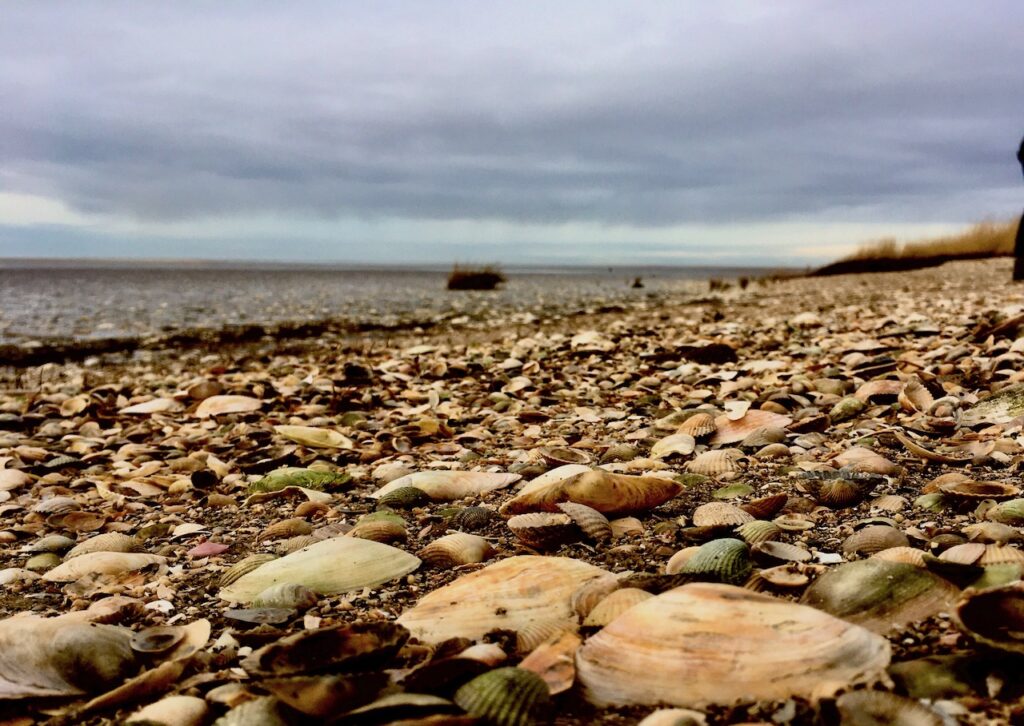 Loquard Strand im Naturschutzgebiet 