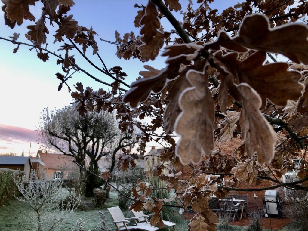 Der erste Frost im Garten Alte Post