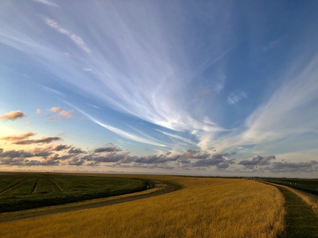 Die Nordkurve am Nordseedeich 